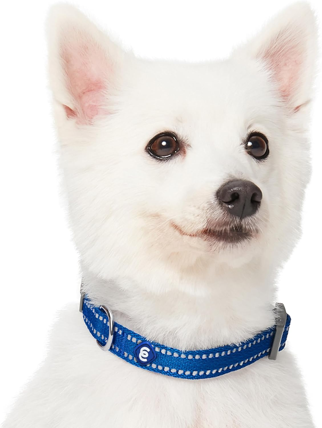 Reflective Adjustable Dog Leash  Petcetera