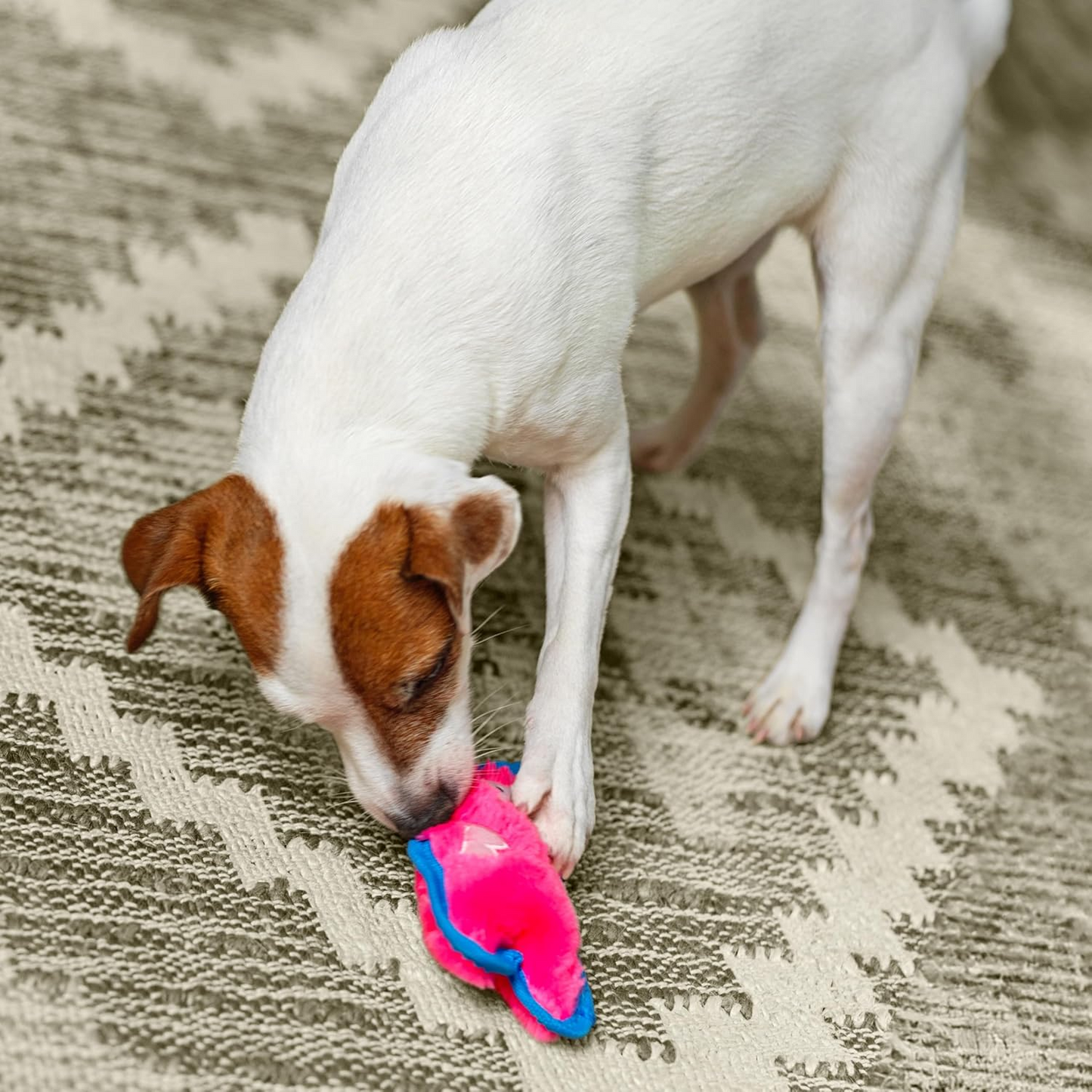 Tough Squeaky Plush Dog Toy - No Stuffing Pig Mini | Petcetera
