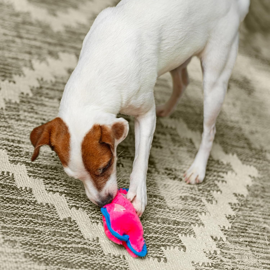 Tough Squeaky Plush Dog Toy - No Stuffing Pig Mini | Petcetera
